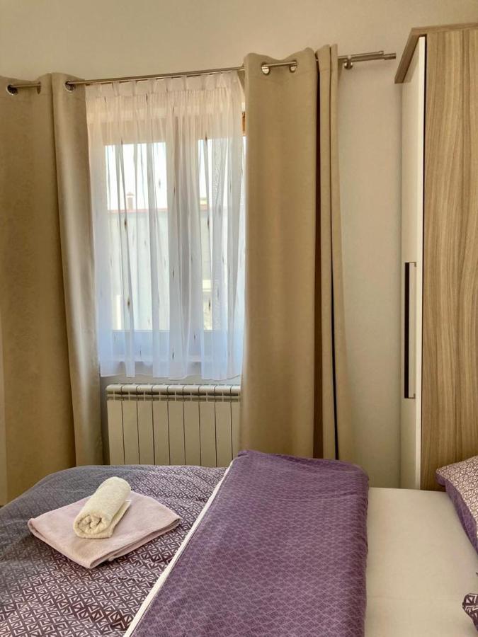 Apartment Andjela 斯塔利格拉德-帕克利尼卡 外观 照片